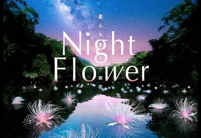 中川大志と巡る 星と幻の花を探す旅 Night Flower 星ふる島の一夜花 より上映 コニカミノルタプラネタリウム Actis アクティス アクティブで自立した女性のためのwebマガジン