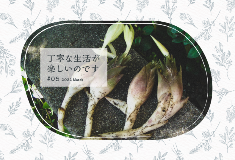 地下茎 から育てる野菜 ミョウガ ふきのとうの植え付け方法を紹介 丁寧な生活が楽しいのです 05 Actis アクティス アクティブで自立した女性のためのwebマガジン